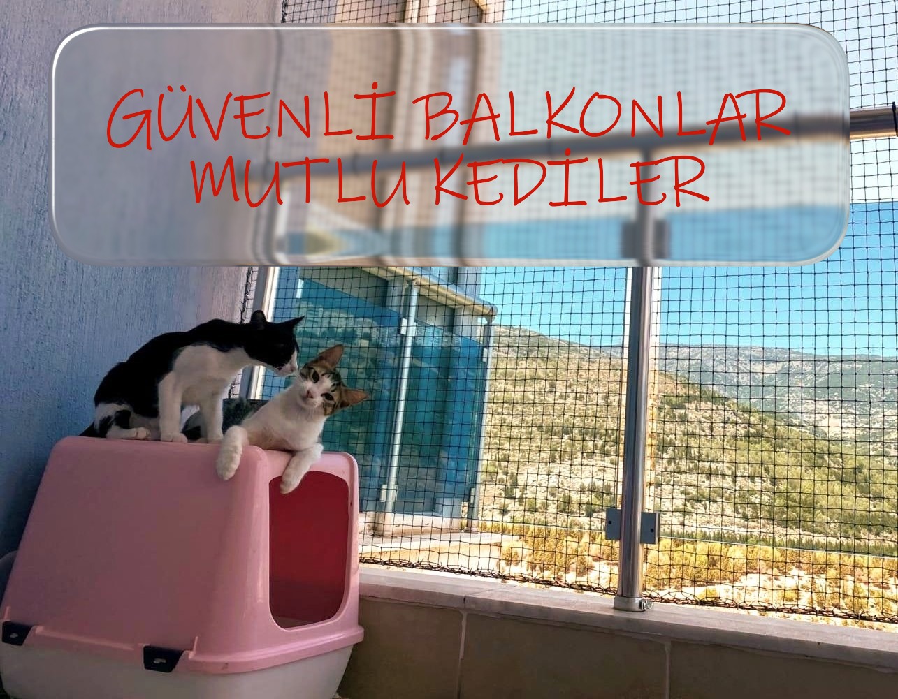 Kediler için Balkon Koruma Filesi Uygulaması